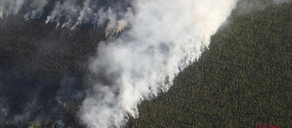 Пожар в нацпарке Припятский - Sputnik Беларусь