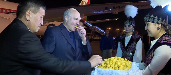 Цветы, боорсоки и объятия. Кадры встречи Лукашенко в Кыргызстане - Sputnik Беларусь