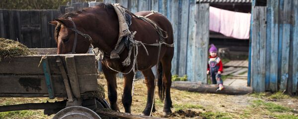 Сельское поселение - Sputnik Беларусь
