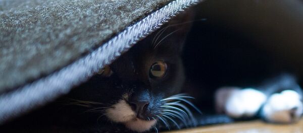 У чаканні цяпла - Sputnik Беларусь