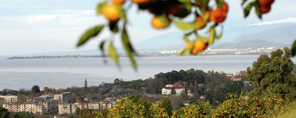 Вид на Сухум - Sputnik Беларусь