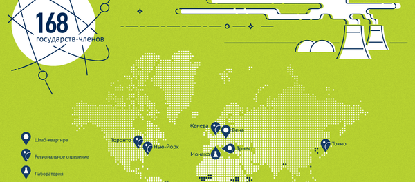Международное агентство по атомной энергии (МАГАТЭ) - Sputnik Беларусь