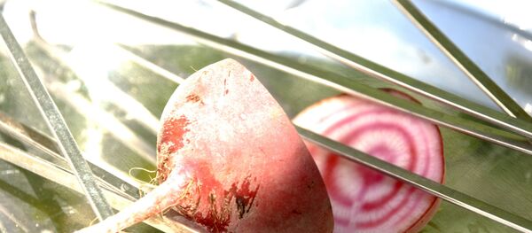 Шампур может быть опасным оружием Шампур может быть опасным оружием - Sputnik Беларусь