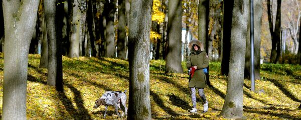 Прогулка в осеннем парке. Архивное фото - Sputnik Беларусь