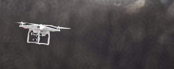 Коптар у палёце, архіўнае фота - Sputnik Беларусь