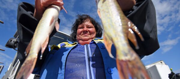 Калі ў сям'і няма рыбакоў, шчупака можна набыць на кірмашы Калі ў сям'і няма рыбакоў, шчупака можна набыць на кірмашы - Sputnik Беларусь