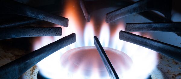 Газовая плита, архивное фото Газовая плита, архивное фото - Sputnik Беларусь