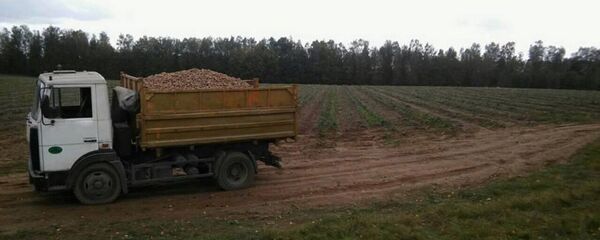 Грузовой автомобиль МАЗ совершил наезд на 13-летнюю школьницу Грузовой автомобиль МАЗ совершил наезд на 13-летнюю школьницу - Sputnik Беларусь