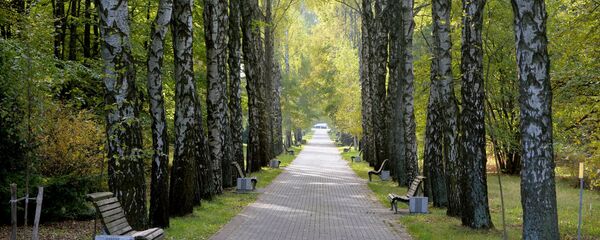 Осенний парк в Минске - Sputnik Беларусь