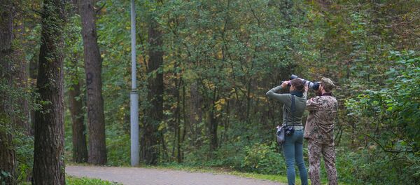 Фотобердеров легко отличить по биноклю, фотоаппарату и устремленному к макушкам деревьев взгляду - Sputnik Беларусь