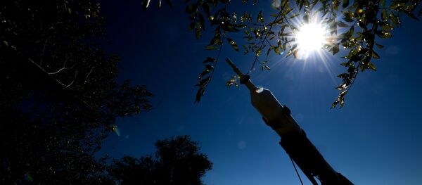 Манумент Ракета-носьбіт Саюз у Байкануры Манумент Ракета-носьбіт Саюз у Байкануры - Sputnik Беларусь