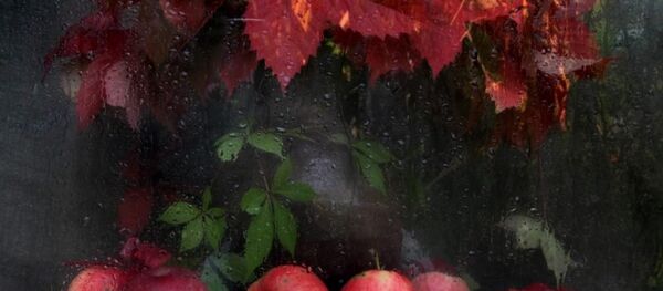 Вераснёўскі букет. Вераснёўскі букет. - Sputnik Беларусь