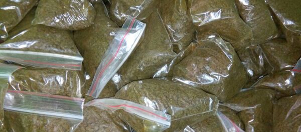 Насвай, изъятый в Лиде - Sputnik Беларусь