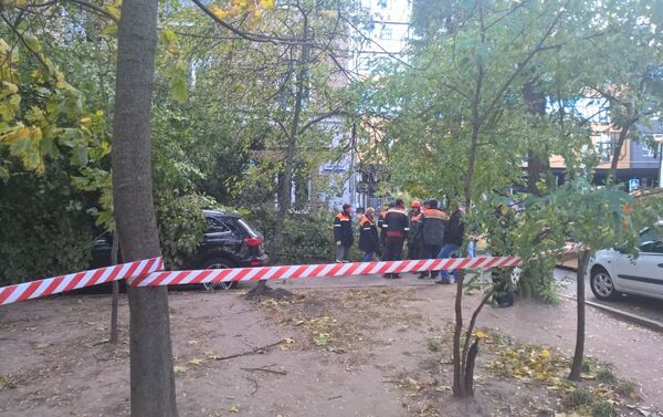 Сотрудники коммунальных служб устраняют последствия падения дерева - Sputnik Беларусь