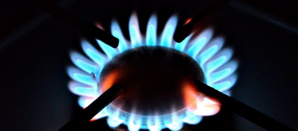 Газовая плита, архивное фото - Sputnik Беларусь