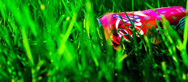 Банка из-под газировки в траве Банка из-под газировки в траве - Sputnik Беларусь