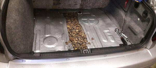 Контрабандный янтарь в автомобиле - Sputnik Беларусь