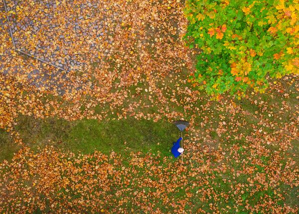 Человек сметает красочные осенние листья в парке - Sputnik Беларусь