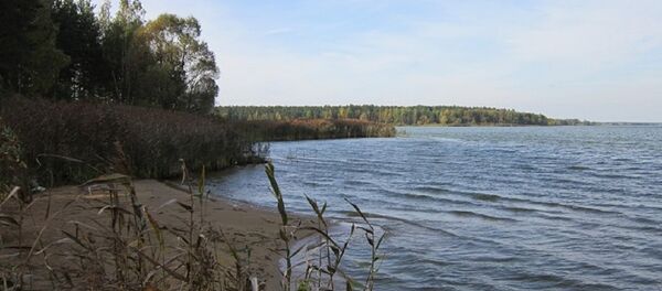 На берегу Вилейского водохранилища - Sputnik Беларусь