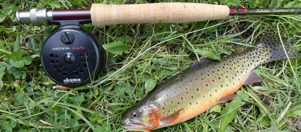 Нахлыстовая удочка и форель - Sputnik Беларусь