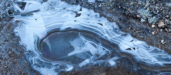 Лёд на лужыне Лёд на лужыне - Sputnik Беларусь