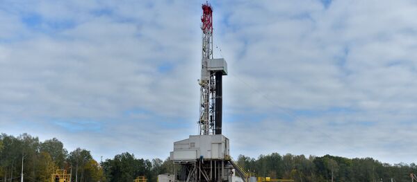 На тэрыторыі Рэчыцкага радовішча - Sputnik Беларусь