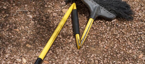 Метла, архивное фото - Sputnik Беларусь