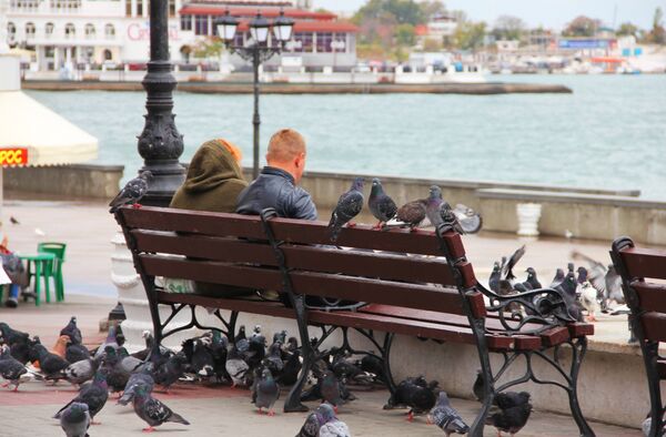 Люди подкармливают голубей на берегу Севастополя - Sputnik Беларусь