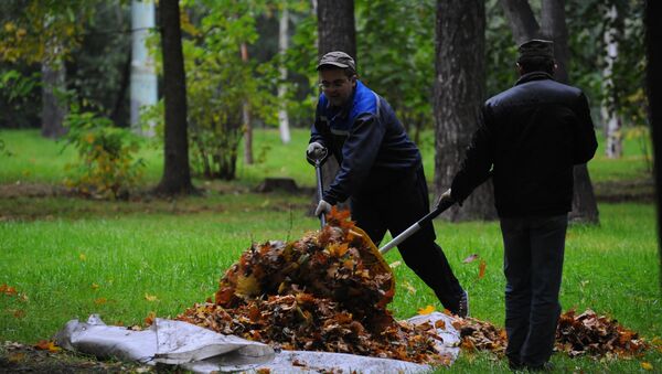 Уборка листвы в парке - Sputnik Беларусь