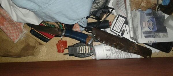 Предполагаемое орудие убийство - Sputnik Беларусь