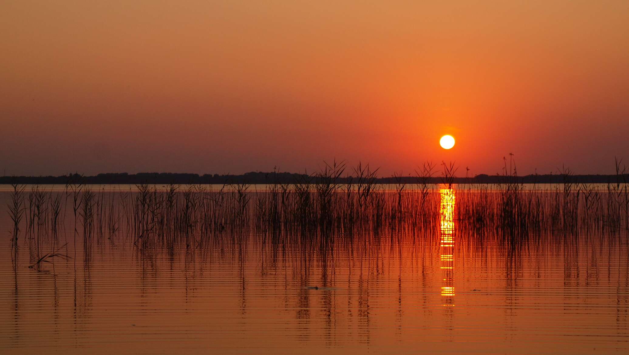 Вечер 3. Lakes of the warm Belt.