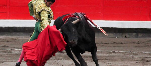 Коррида - Sputnik Беларусь