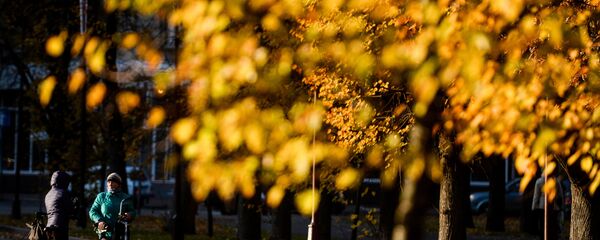 Осень - Sputnik Беларусь