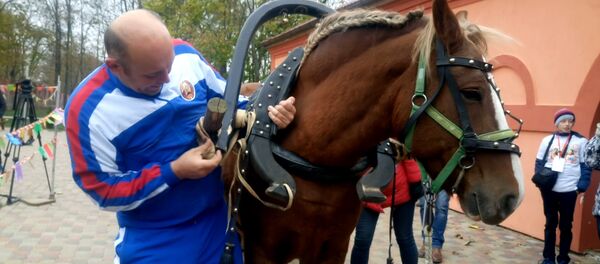 Властелин Села-2016 - горячий юбилейный финал - Sputnik Беларусь