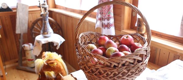 Владельцы агроусадьбы: в наш бизнес должен вмешаться президент - Sputnik Беларусь