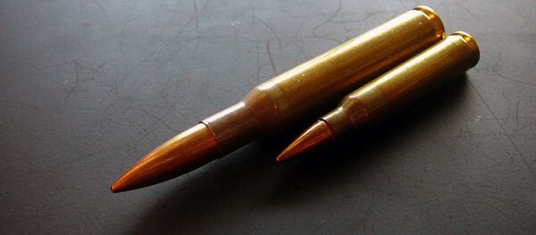 Патроны, архивное фото - Sputnik Беларусь