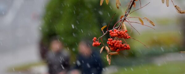 Снег осенью - Sputnik Беларусь