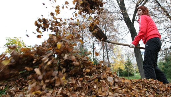 Женщина убирает листву в парке - Sputnik Беларусь