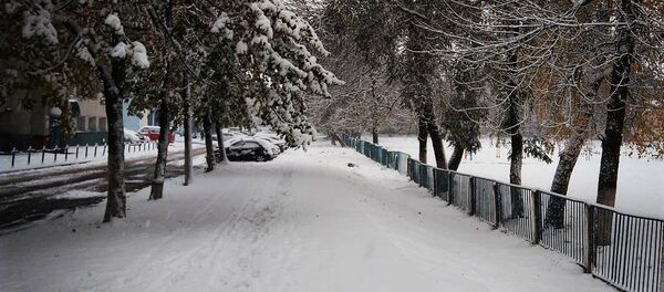 Снег в Гомеле - Sputnik Беларусь