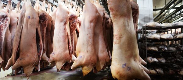 Колбасное производство - Sputnik Беларусь