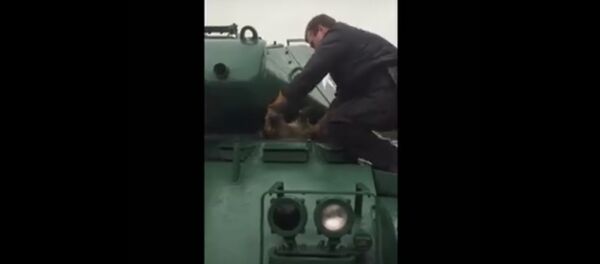 Янот не пралез у Бульдог: як ратавалі жывёлу, якая захрасла ў танку Янот не пралез у Бульдог: як ратавалі жывёлу, якая захрасла ў танку - Sputnik Беларусь