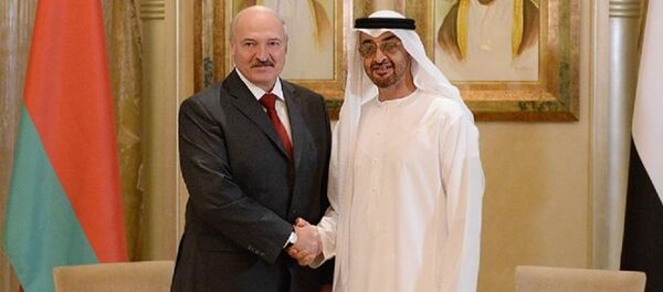 Што абмяркоўвалі прэзідэнт Лукашэнка і наследны прынц Абу-Дабі? Што абмяркоўвалі прэзідэнт Лукашэнка і наследны прынц Абу-Дабі? - Sputnik Беларусь