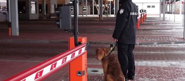 Польские таможенники на границе - Sputnik Беларусь