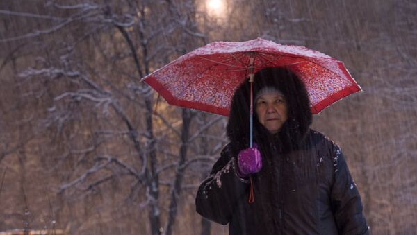 Женщина с зонтом идет по улице во время снегопада - Sputnik Беларусь