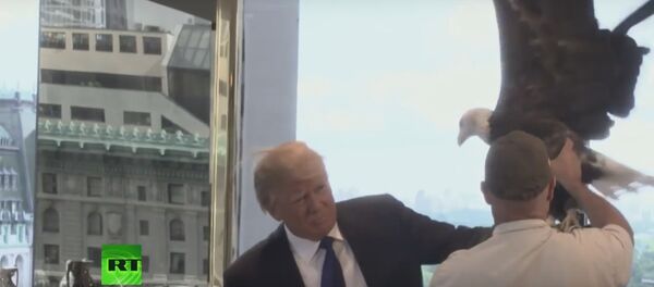 Политика не без смеха: курьезные моменты предвыборной кампании в США - Sputnik Беларусь