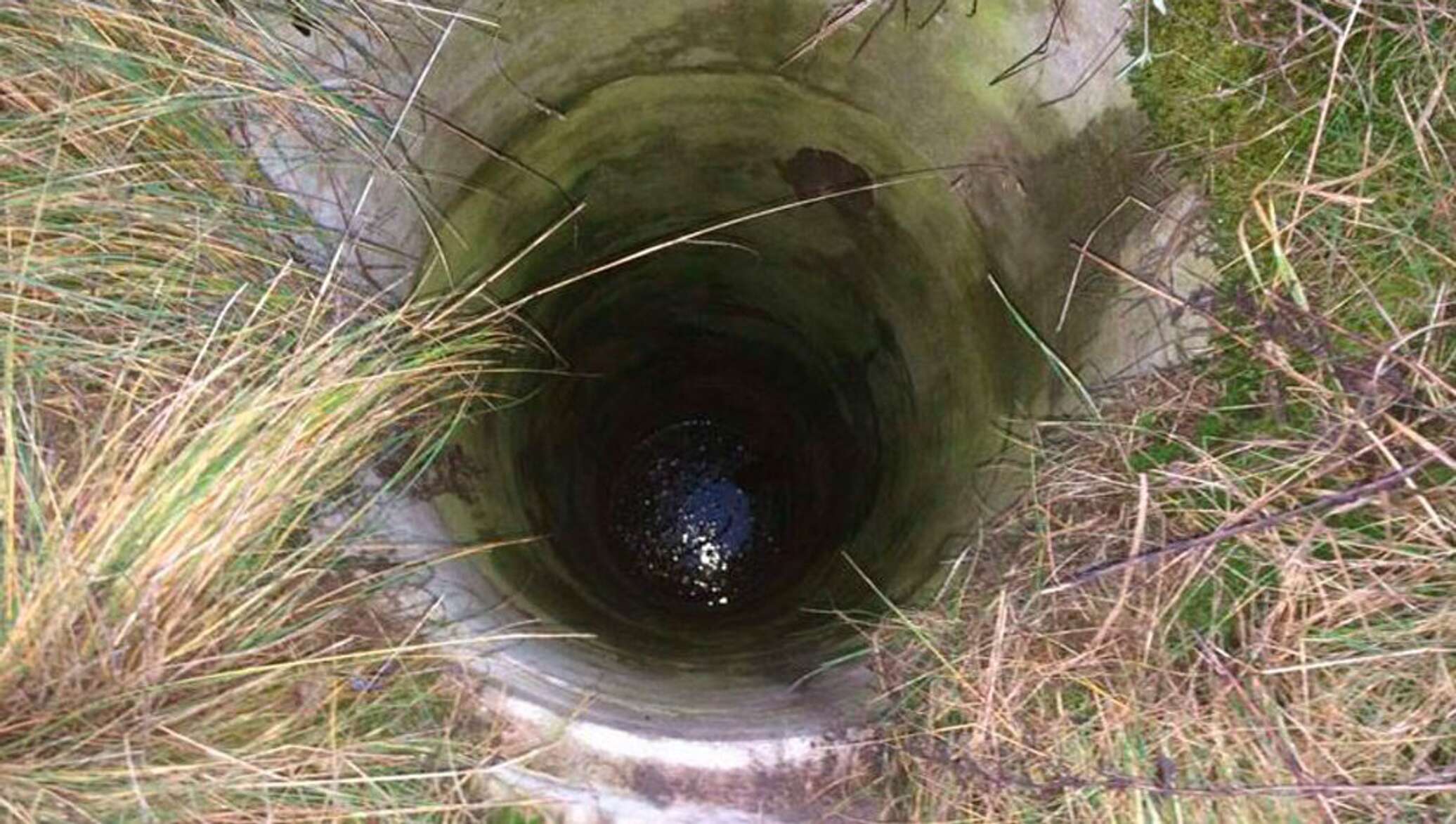 лягушка на дне колодца. старинный колодец. колодец внутри. заросший колодец. домик лягушонка.