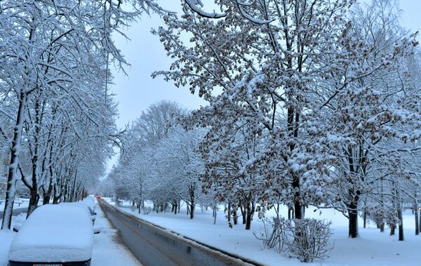Сильный снегопад прошел по всей Беларуси - Sputnik Беларусь
