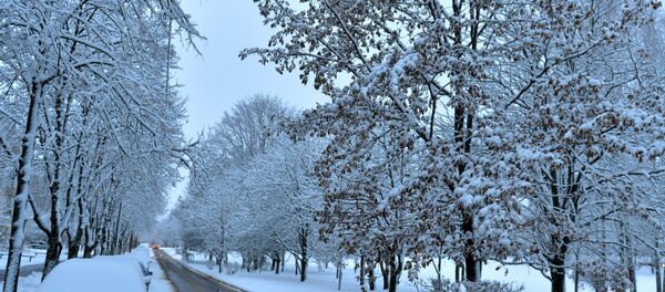 Сильный снегопад прошел по всей Беларуси - Sputnik Беларусь