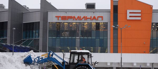 Уборка снега в Москве в аэропорту Шереметьево, архивное фото - Sputnik Беларусь