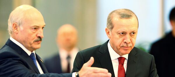 Александр Лукашенко и Раджеп Эрдоган во Дворце независимости в Минске - Sputnik Беларусь